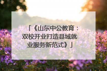 《山东中公教育：双校开业打造县域就业服务新范式》