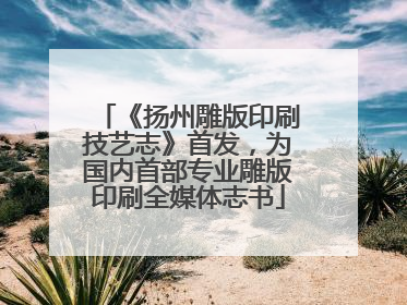 《扬州雕版印刷技艺志》首发，为国内首部专业雕版印刷全媒体志书