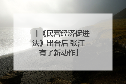 《民营经济促进法》出台后 张江有了新动作
