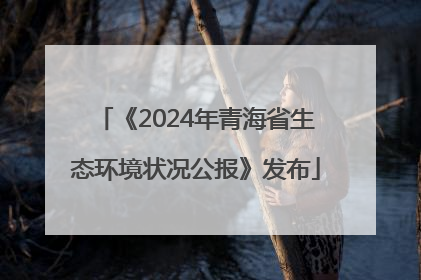 《2024年青海省生态环境状况公报》发布