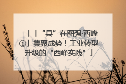 「“县”在图强·西峰①」集聚成势！工业转型升级的“西峰实践”