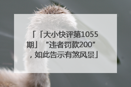 「大小快评第1055期」“违者罚款200”，如此告示有煞风景