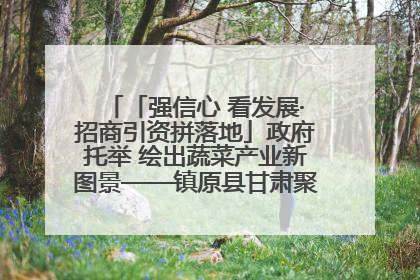「强信心 看发展·招商引资拼落地」政府托举 绘出蔬菜产业新图景——镇原县甘肃聚广利现代设施蔬菜种植基地见闻