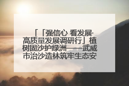 「强信心 看发展·高质量发展调研行」植树固沙护绿洲——武威市治沙造林筑牢生态安全屏障见闻