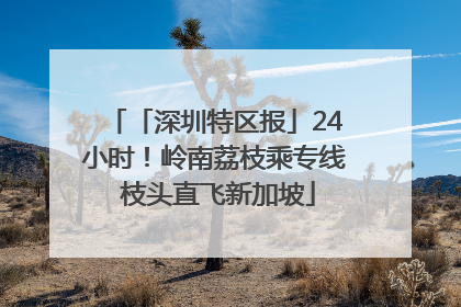 「深圳特区报」24小时！岭南荔枝乘专线 枝头直飞新加坡