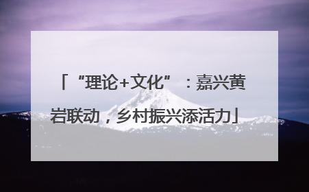 “理论+文化”：嘉兴黄岩联动，乡村振兴添活力