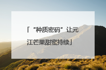 “种质密码”让元江芒果甜蜜持续