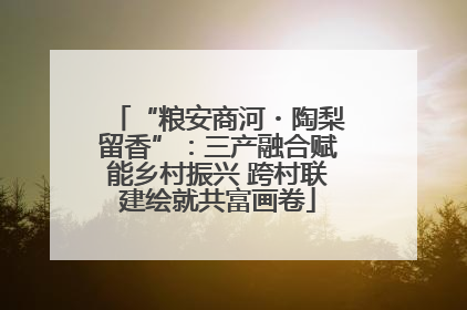 “粮安商河・陶梨留香”：三产融合赋能乡村振兴 跨村联建绘就共富画卷