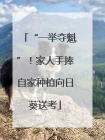 “一举夺魁”！家人手捧自家种植向日葵送考