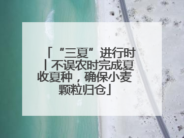 “三夏”进行时丨不误农时完成夏收夏种，确保小麦颗粒归仓