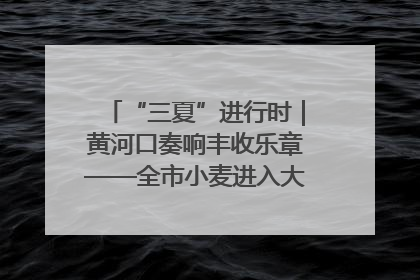 “三夏”进行时｜黄河口奏响丰收乐章——全市小麦进入大面积收获高峰期