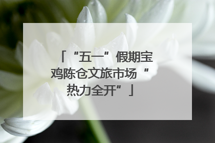 “五一”假期宝鸡陈仓文旅市场“热力全开”