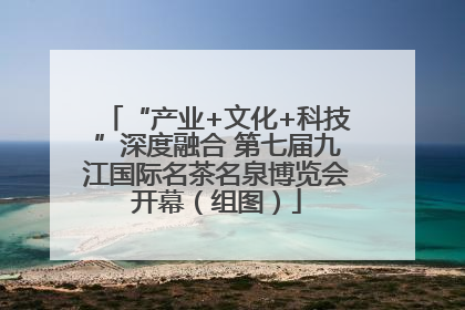 “产业+文化+科技”深度融合 第七届九江国际名茶名泉博览会开幕（组图）