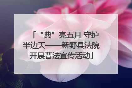 “典”亮五月 守护半边天——新野县法院开展普法宣传活动