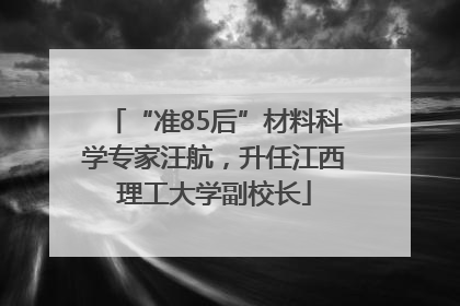 “准85后”材料科学专家汪航，升任江西理工大学副校长