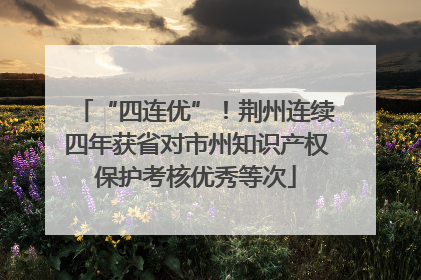 “四连优”！荆州连续四年获省对市州知识产权保护考核优秀等次