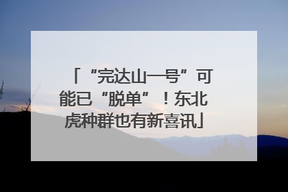 “完达山一号”可能已“脱单”！东北虎种群也有新喜讯