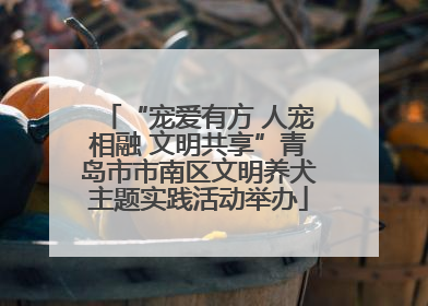 “宠爱有方 人宠相融 文明共享”青岛市市南区文明养犬主题实践活动举办