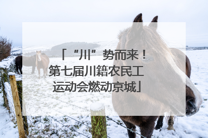 “川”势而来！第七届川籍农民工运动会燃动京城