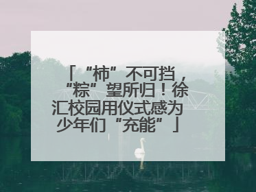 “柿”不可挡，“粽”望所归！徐汇校园用仪式感为少年们“充能”
