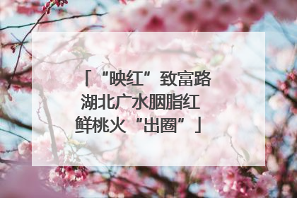 “映红”致富路 湖北广水胭脂红鲜桃火“出圈”