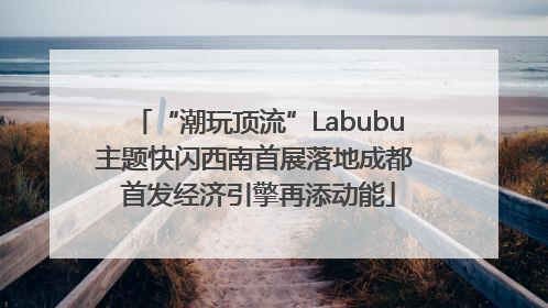 “潮玩顶流”Labubu主题快闪西南首展落地成都 首发经济引擎再添动能