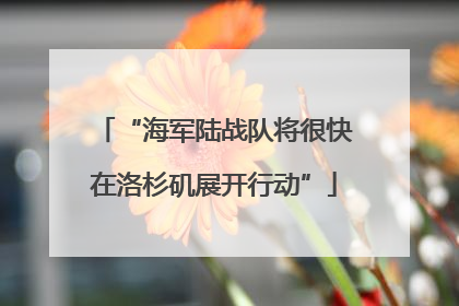 “海军陆战队将很快在洛杉矶展开行动”