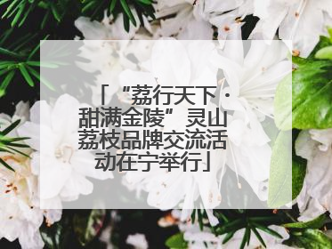“荔行天下・甜满金陵”灵山荔枝品牌交流活动在宁举行