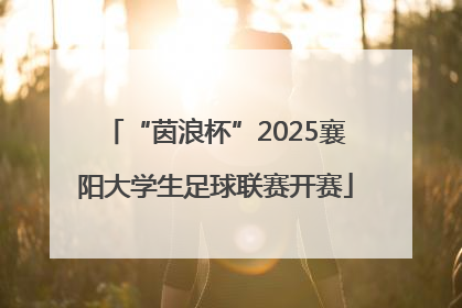 “茵浪杯”2025襄阳大学生足球联赛开赛