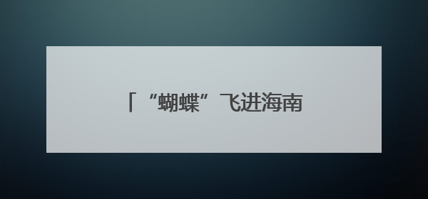 “蝴蝶”飞进海南 厦门大雨如注
