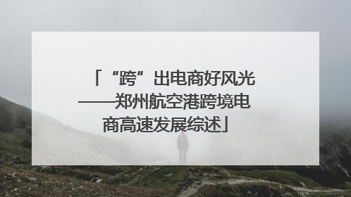 “跨”出电商好风光——郑州航空港跨境电商高速发展综述