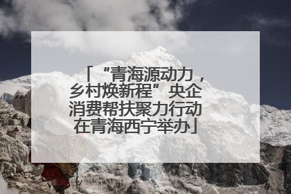 “青海源动力，乡村焕新程”央企消费帮扶聚力行动在青海西宁举办