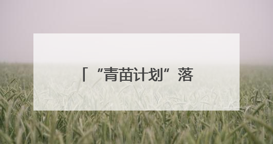 “青苗计划”落地 流动图书车开进天心校园