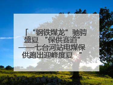 “钢铁煤龙”驰骋盛夏 “保供赛道”——七台河站电煤保供跑出迎峰度夏 “加速度”