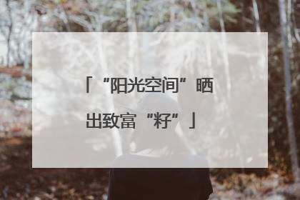 “阳光空间”晒出致富“籽”