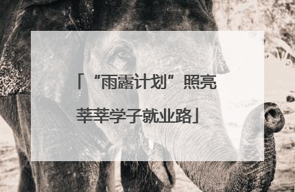 “雨露计划”照亮莘莘学子就业路