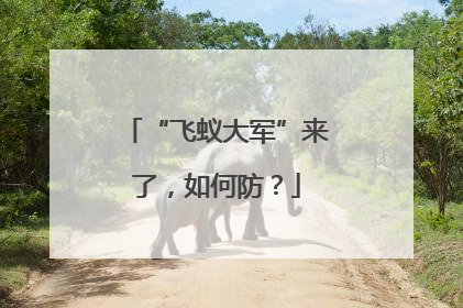 “飞蚁大军”来了，如何防？