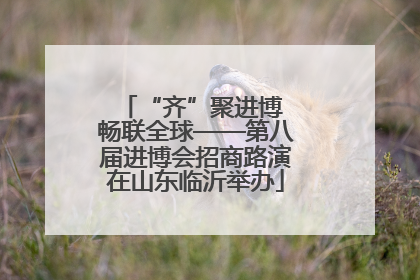 “齐”聚进博 畅联全球——第八届进博会招商路演在山东临沂举办