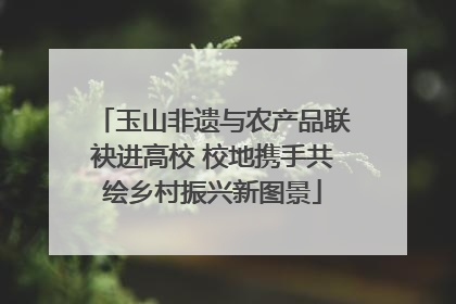 玉山非遗与农产品联袂进高校 校地携手共绘乡村振兴新图景
