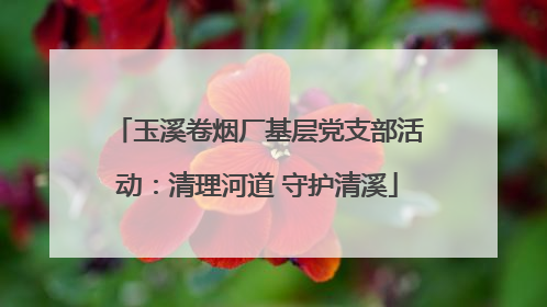 玉溪卷烟厂基层党支部活动：清理河道 守护清溪