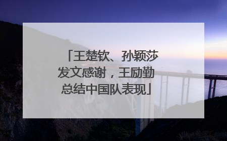 王楚钦、孙颖莎发文感谢，王励勤总结中国队表现