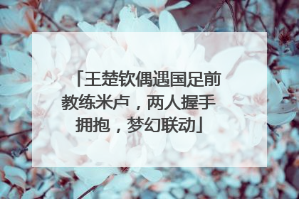 王楚钦偶遇国足前教练米卢，两人握手拥抱，梦幻联动