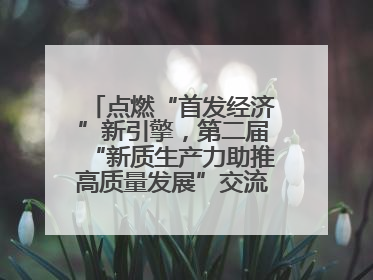 点燃“首发经济”新引擎，第二届“新质生产力助推高质量发展”交流会在成都举行