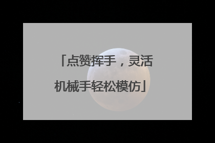 点赞挥手，灵活机械手轻松模仿
