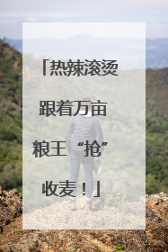 热辣滚烫 跟着万亩粮王“抢”收麦！