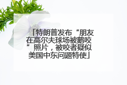 特朗普发布“朋友在高尔夫球场被鹅咬”照片，被咬者疑似美国中东问题特使