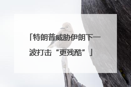 特朗普威胁伊朗下一波打击“更残酷”
