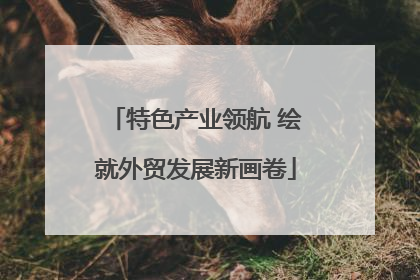 特色产业领航 绘就外贸发展新画卷