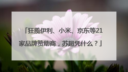 狂揽伊利、小米、京东等21家品牌赞助商，苏超凭什么？