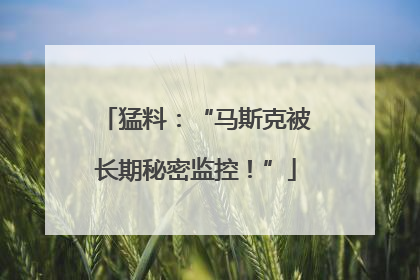 猛料：“马斯克被长期秘密监控！”
